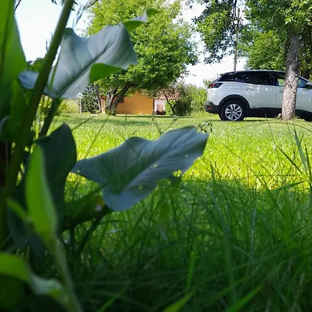 Sweet Free Parking, Ac, Rent A Car Tatil Evi *