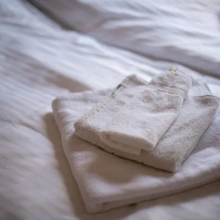 Sweet Free Parking, Ac, Rent A Car