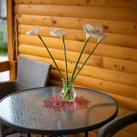 Sweet Free Parking, Ac, Rent A Car בית נופש