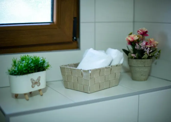 Sweet Free Parking, Ac, Rent A Car